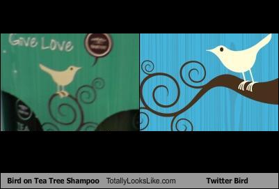 bird-on-tea-tree-shampoo-totally-looks-like-twitter-bird